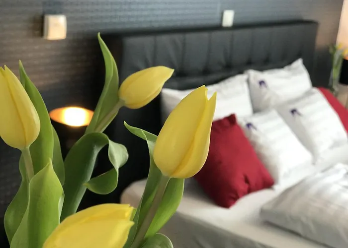 Appartement Ciprus Porta